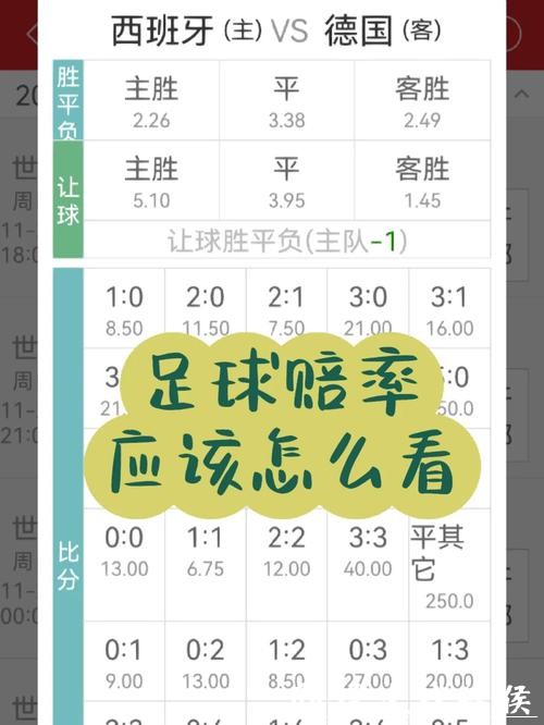 世界杯买球赔率怎么看最靠谱 世界杯买球赔率怎么看最靠谱